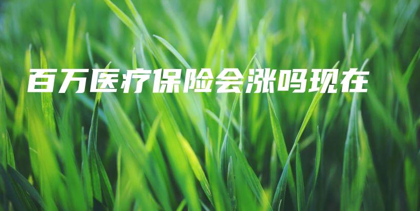 百万医疗保险会涨吗现在-保点通