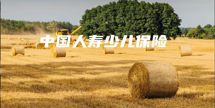 中国人寿少儿保险-保点通