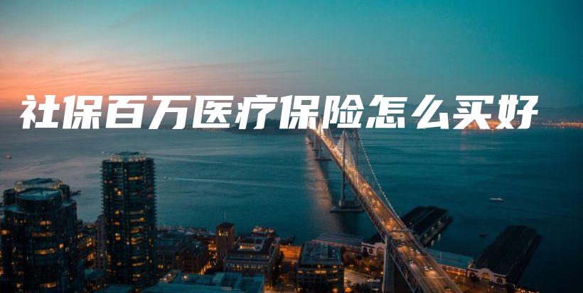 社保百万医疗保险怎么买好-保点通