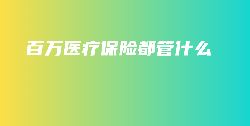 百万医疗保险都管什么-保点通
