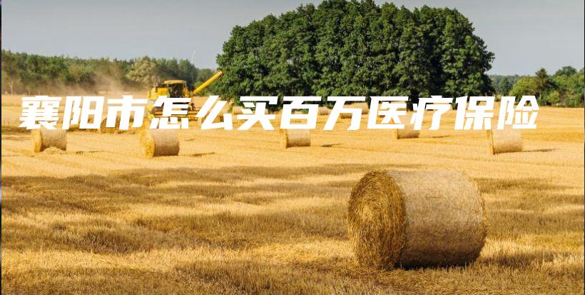 襄阳市怎么买百万医疗保险-保点通