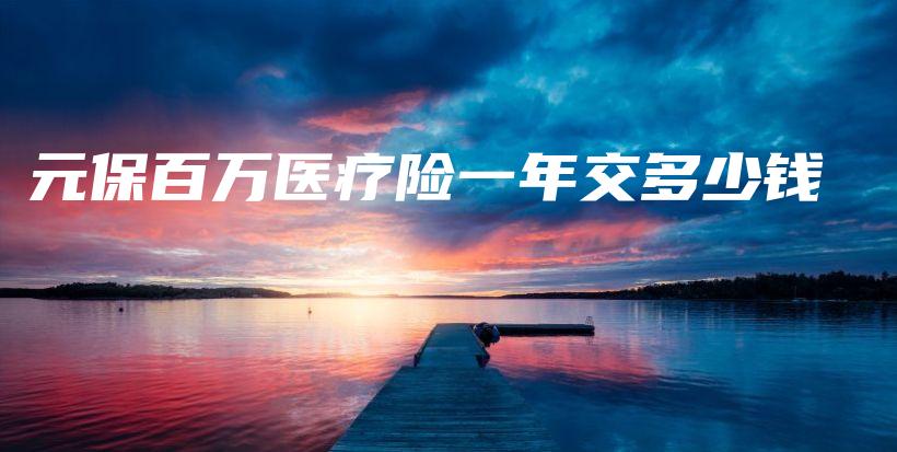 元保百万医疗险一年交多少钱-保点通