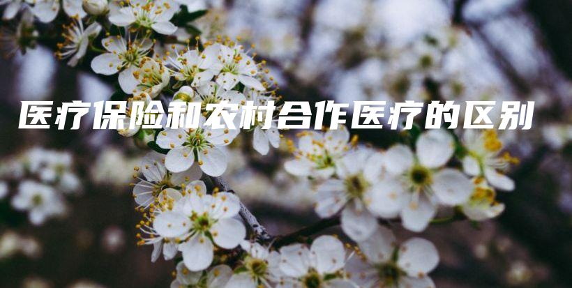 医疗保险和农村合作医疗的区别-保点通