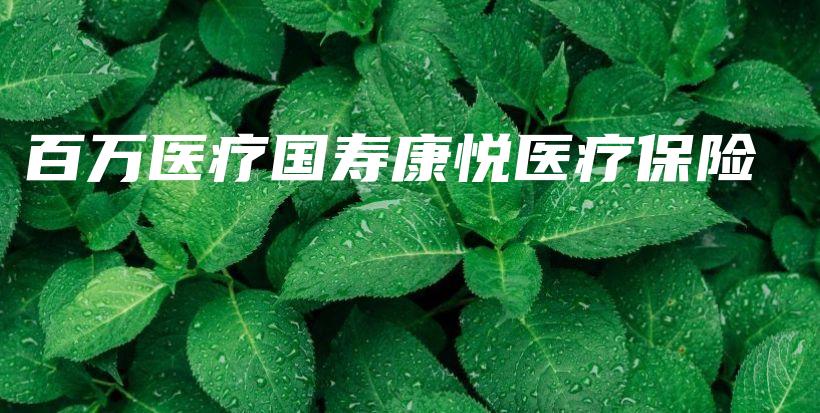 百万医疗国寿康悦医疗保险-保点通