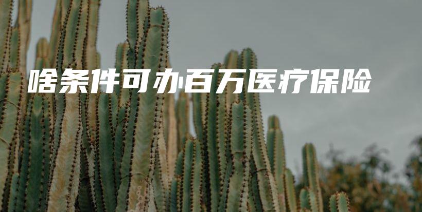 啥条件可办百万医疗保险-保点通