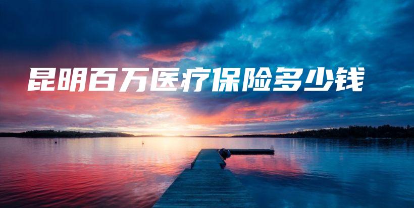昆明百万医疗保险多少钱-保点通