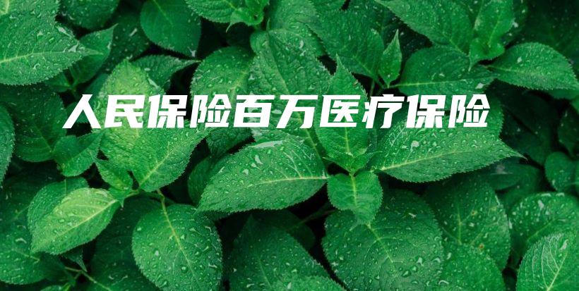 人民保险百万医疗保险-保点通