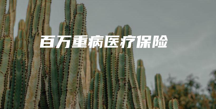 百万重病医疗保险-保点通