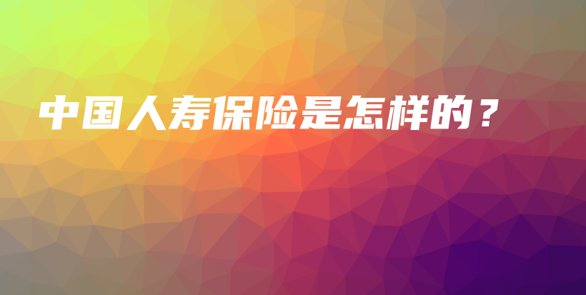 中国人寿保险是怎样的？-保点通