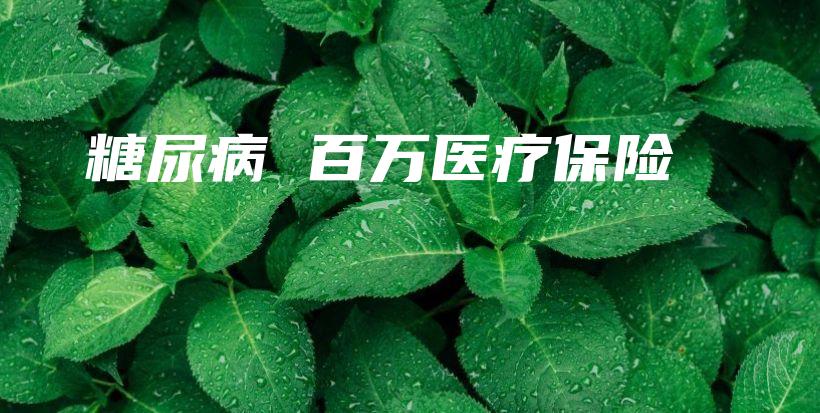 糖尿病 百万医疗保险-保点通