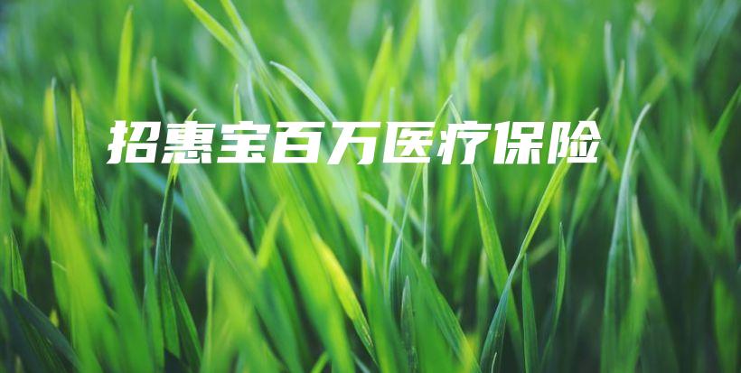 招惠宝百万医疗保险-保点通