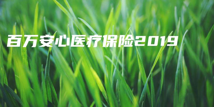 百万安心医疗保险2019-保点通