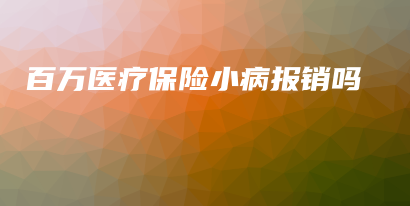 百万医疗保险小病报销吗-保点通