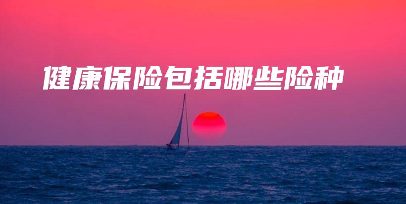 健康保险包括哪些险种-保点通