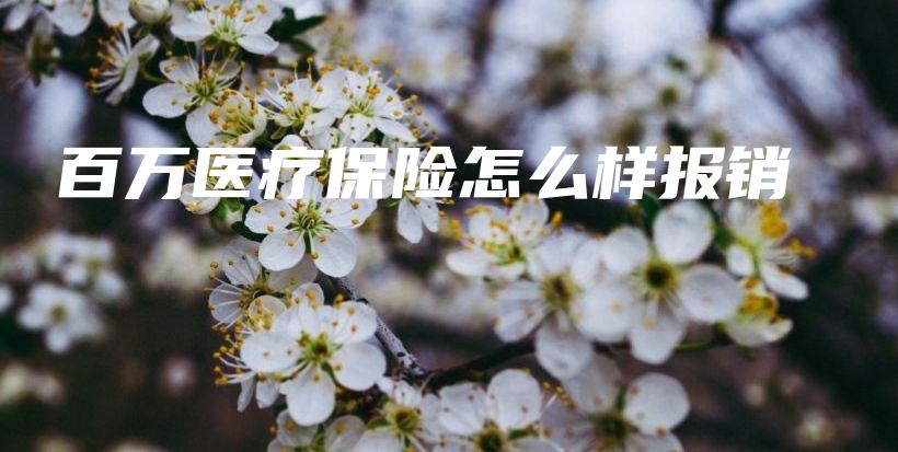 百万医疗保险怎么样报销-保点通