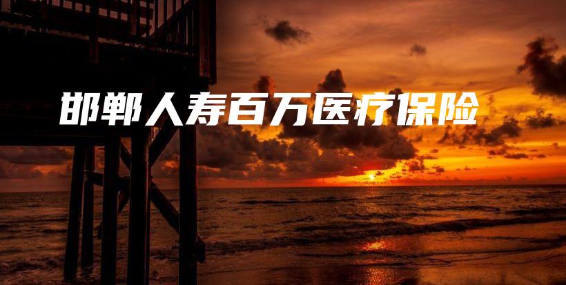 邯郸人寿百万医疗保险-保点通