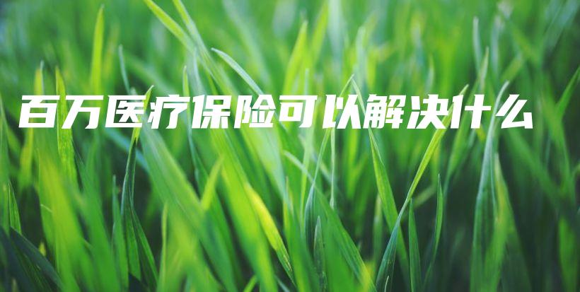 百万医疗保险可以解决什么-保点通