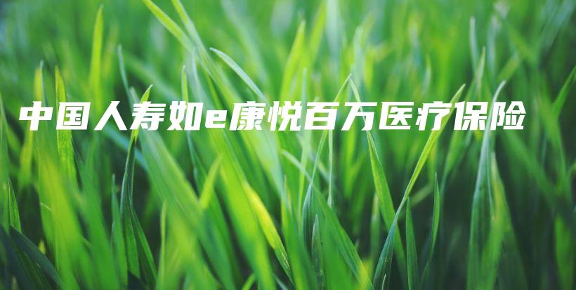 中国人寿如e康悦百万医疗保险-保点通