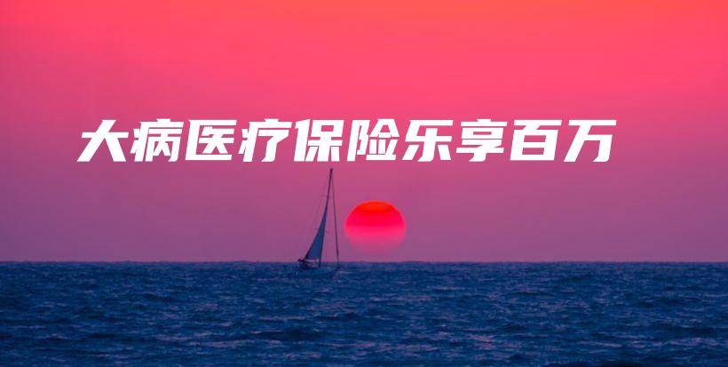 大病医疗保险乐享百万-保点通