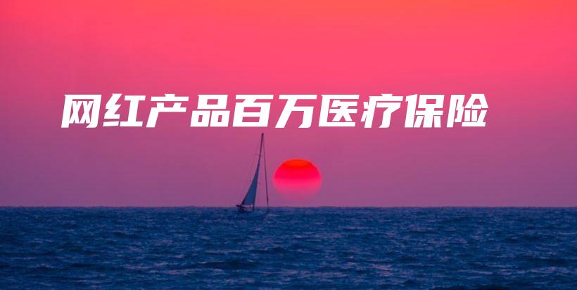 网红产品百万医疗保险-保点通