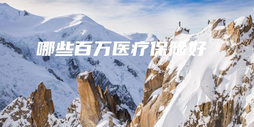 哪些百万医疗保险好-保点通
