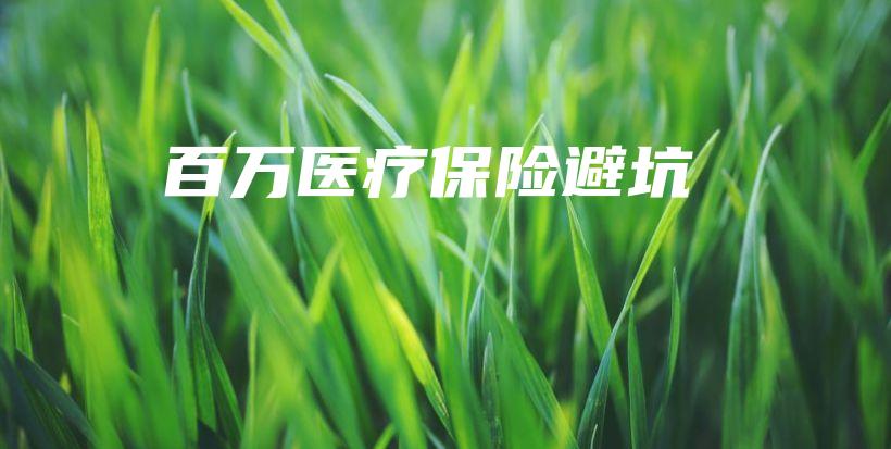 百万医疗保险避坑-保点通