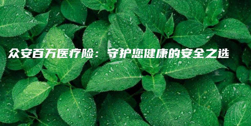 众安百万医疗险：守护您健康的安全之选-保点通