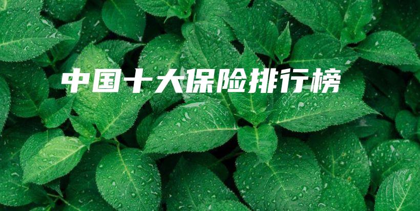 中国十大保险排行榜-保点通