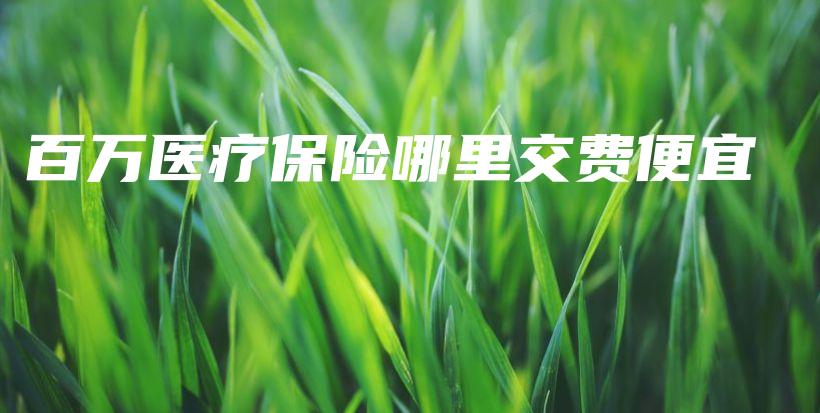 百万医疗保险哪里交费便宜-保点通