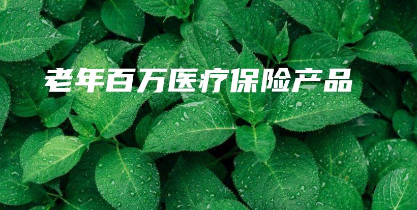 老年百万医疗保险产品-保点通