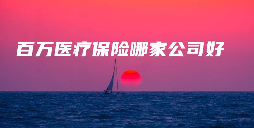 百万医疗保险哪家公司好-保点通