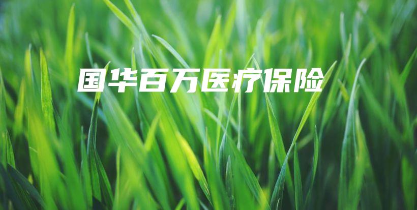 国华百万医疗保险-保点通