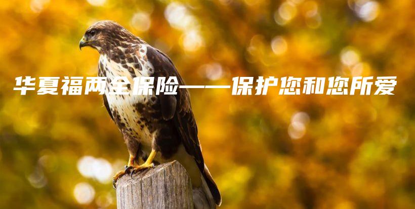 华夏福两全保险——保护您和您所爱-保点通