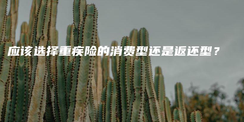 应该选择重疾险的消费型还是返还型？-保点通
