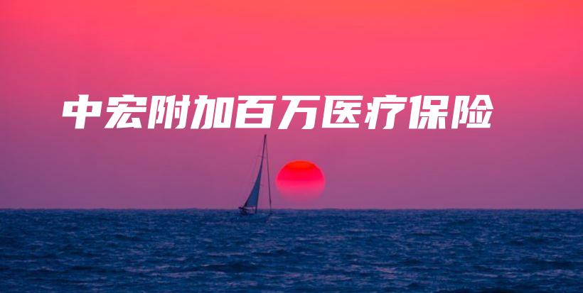 中宏附加百万医疗保险-保点通