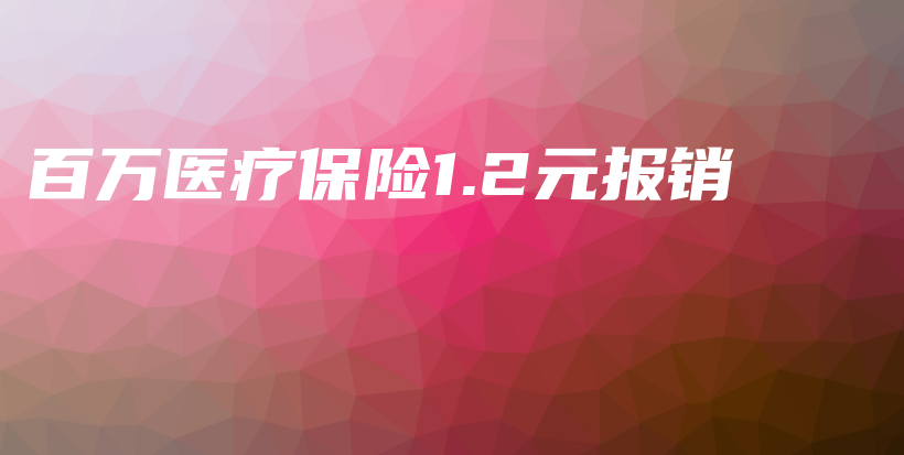 百万医疗保险1.2元报销-保点通