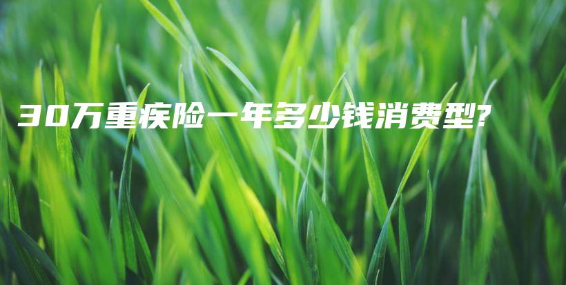 30万重疾险一年多少钱消费型?-保点通