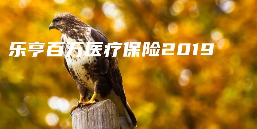 乐亨百万医疗保险2019-保点通