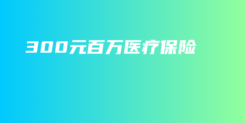 300元百万医疗保险-保点通