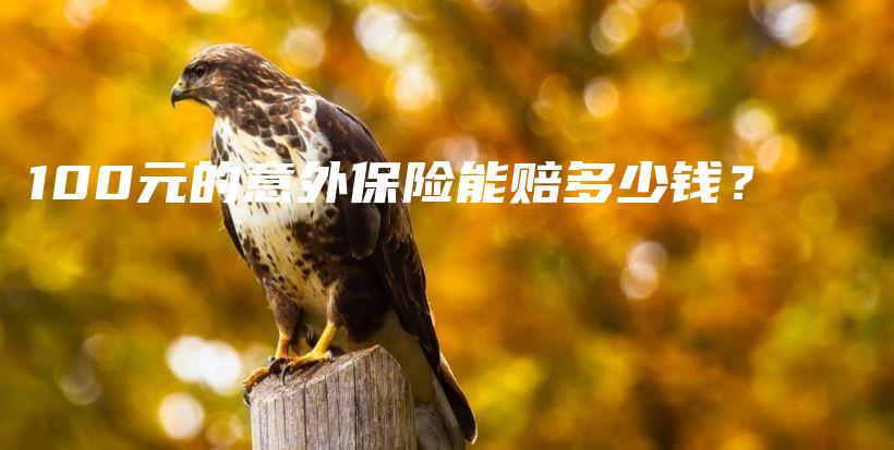 100元的意外保险能赔多少钱？-保点通