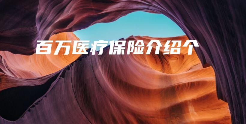 百万医疗保险介绍个-保点通