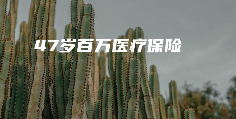 47岁百万医疗保险-保点通