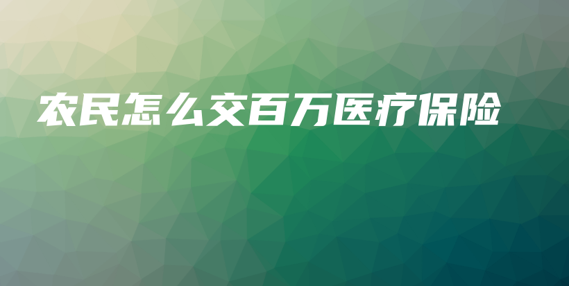 农民怎么交百万医疗保险-保点通