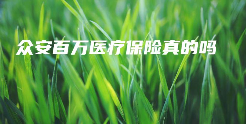 众安百万医疗保险真的吗-保点通