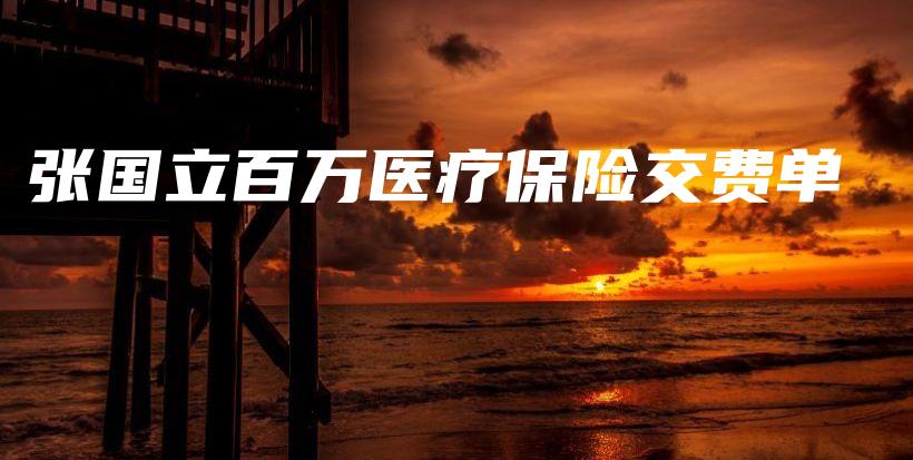 张国立百万医疗保险交费单-保点通