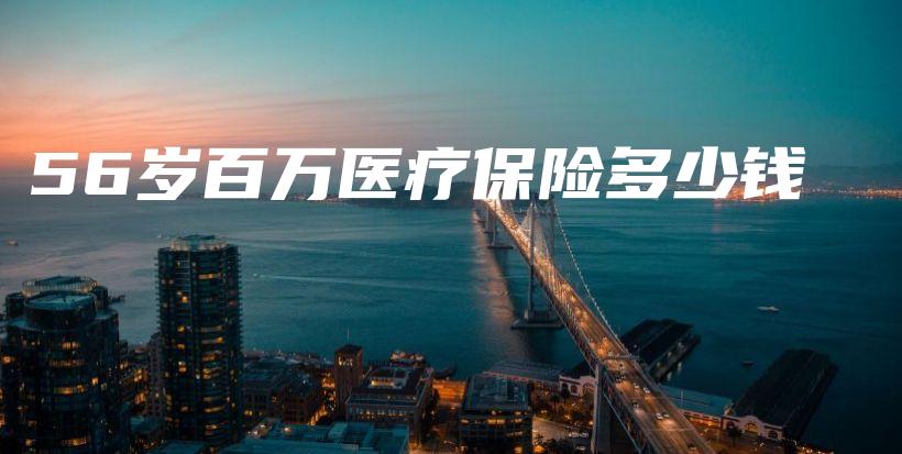 56岁百万医疗保险多少钱-保点通