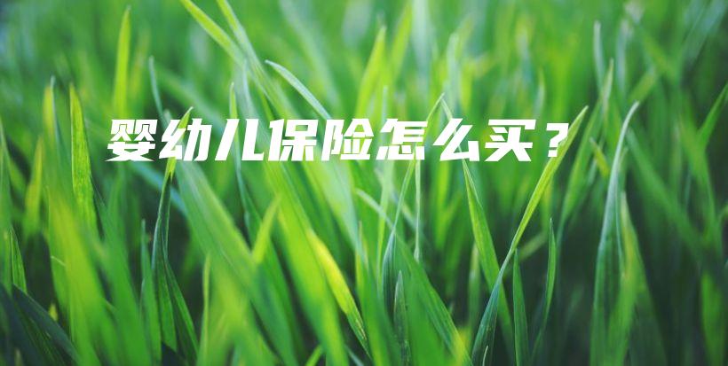 婴幼儿保险怎么买？-保点通