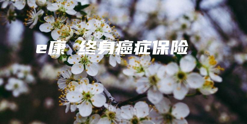 e康 终身癌症保险-保点通