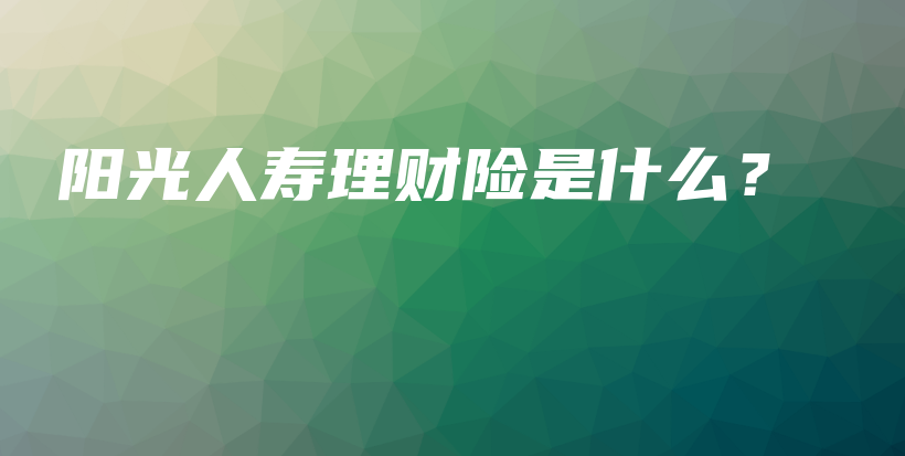 阳光人寿理财险是什么？-保点通