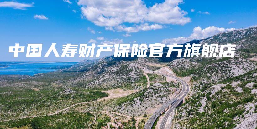 中国人寿财产保险官方旗舰店-保点通
